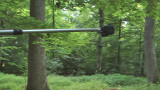 Reference image